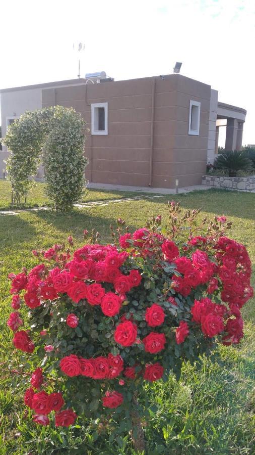 Kos Villa - Family Comfort With Large Garden, Jacuzzi Exteriér fotografie